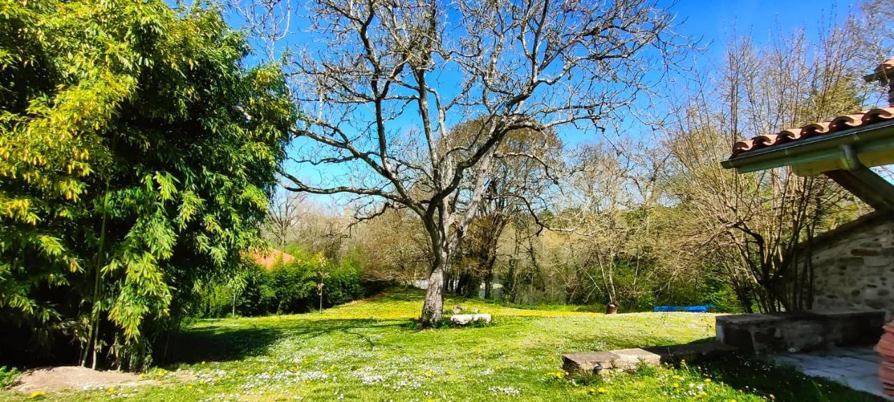 דירות Sauveterre-de-Bearn Entre Galets מראה חיצוני תמונה